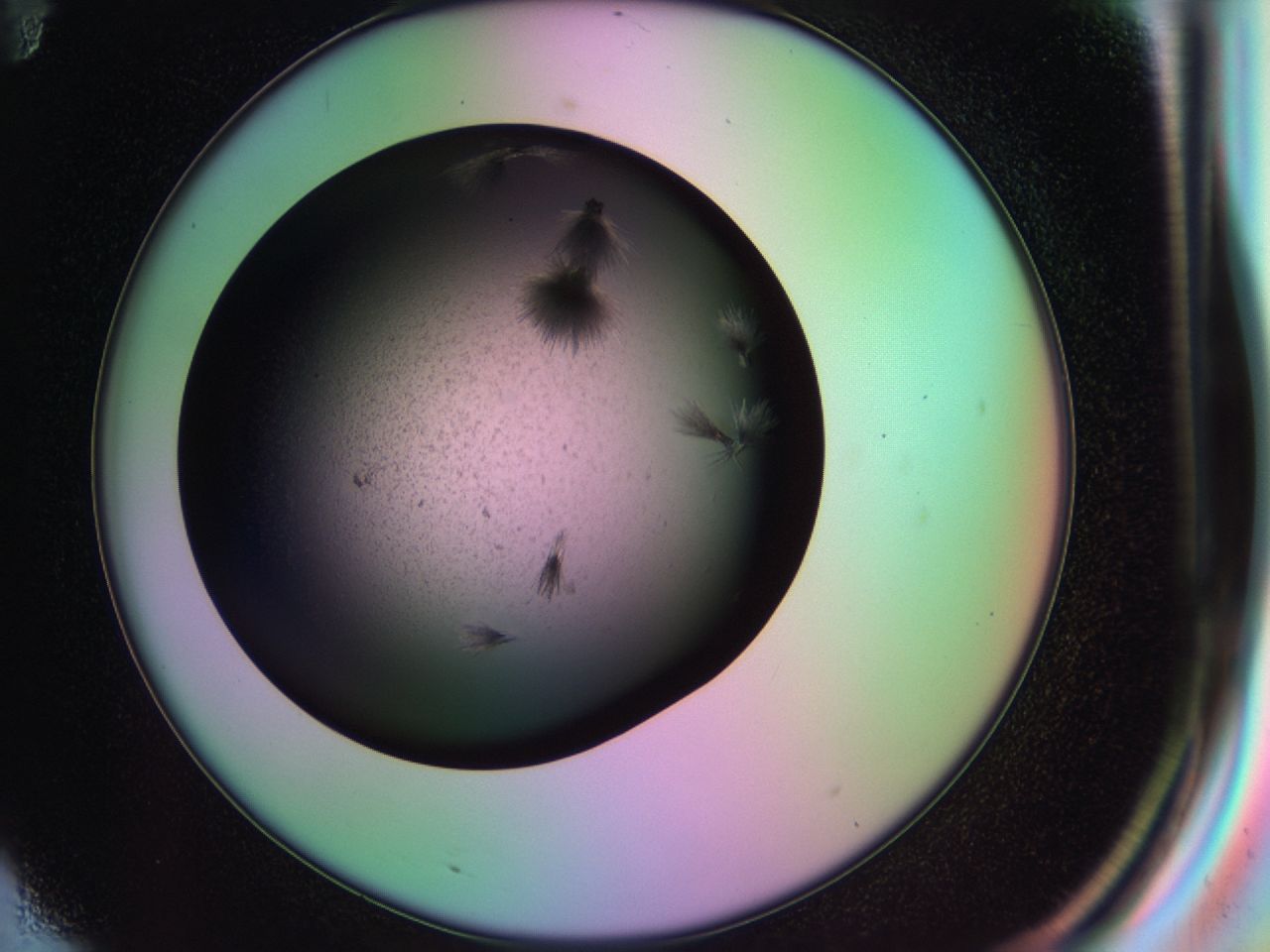03kh_F11_ImagerDefaults_7.jpg
