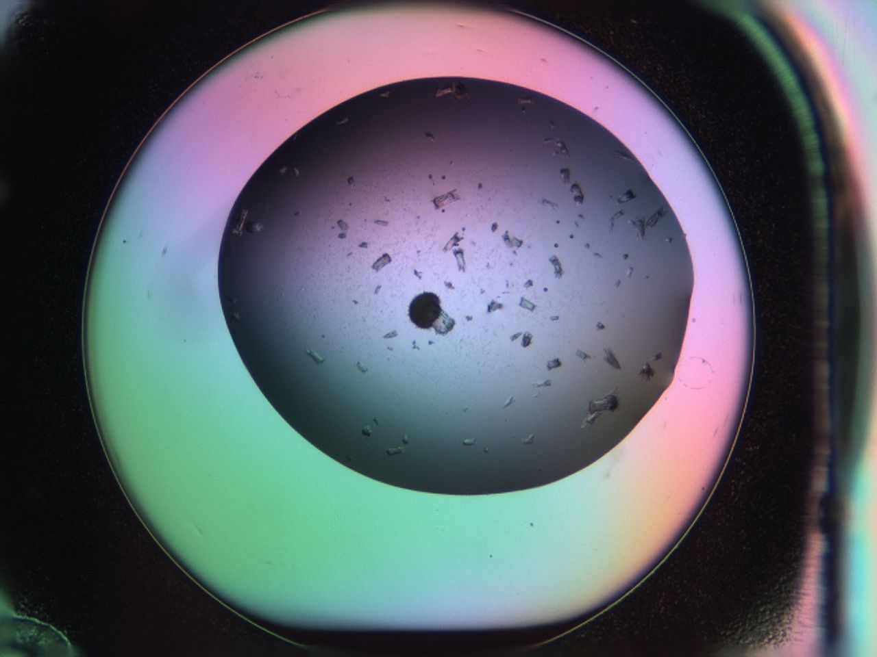 03kh_F12_ImagerDefaults_7.jpg