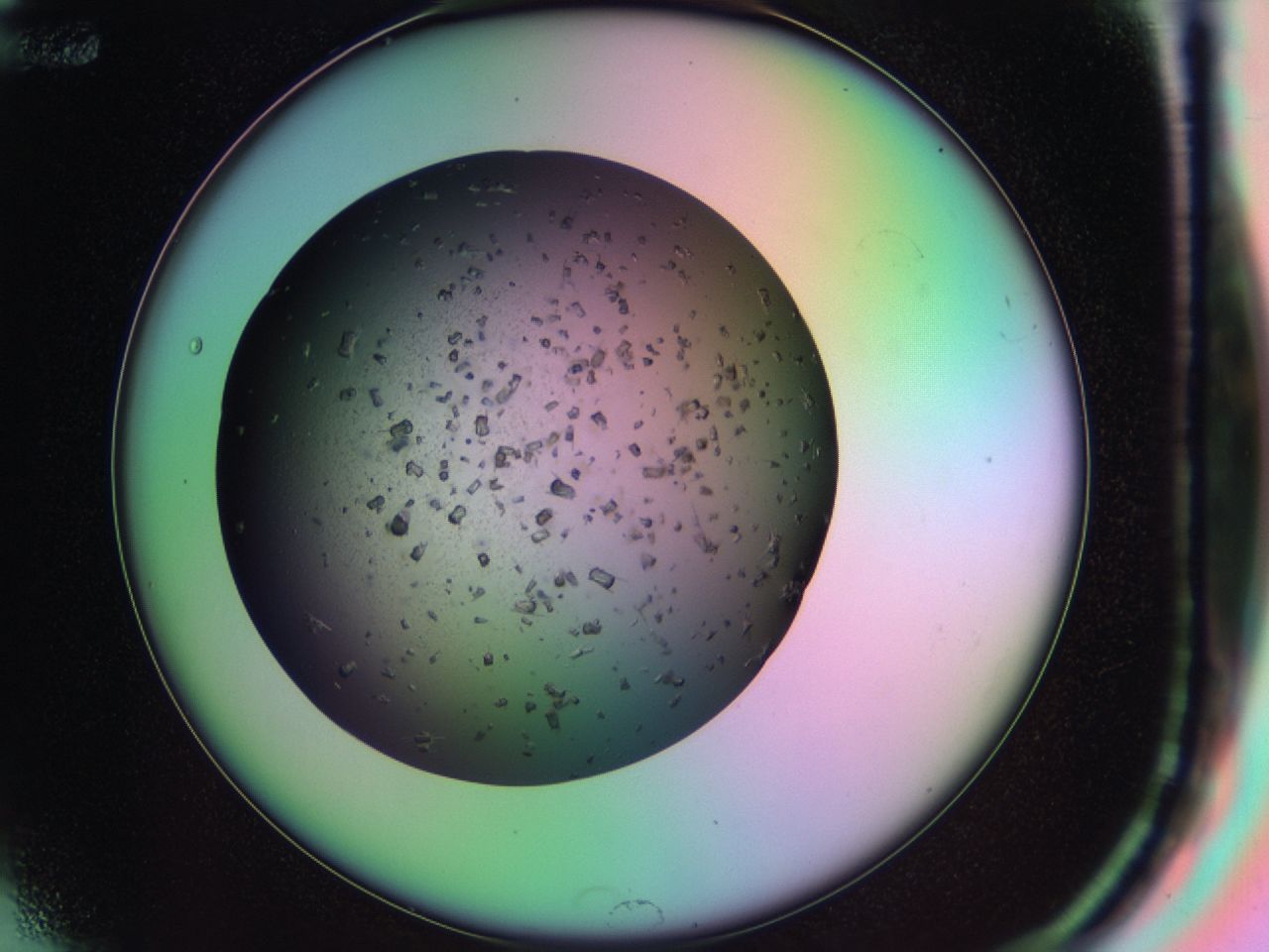 03kh_F12_ImagerDefaults_6.jpg
