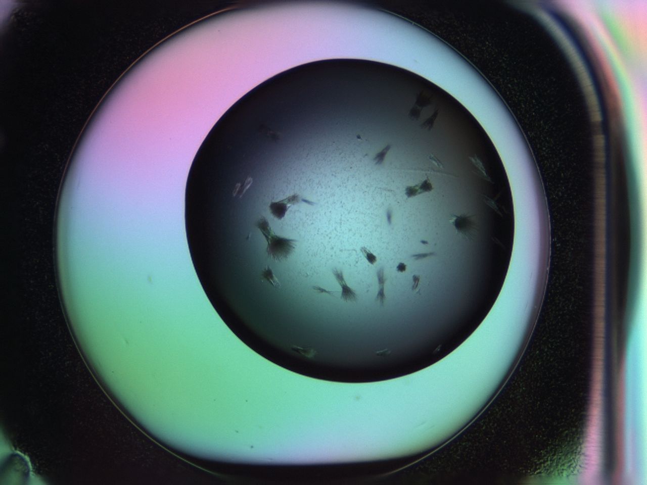 03kh_F11_ImagerDefaults_6.jpg