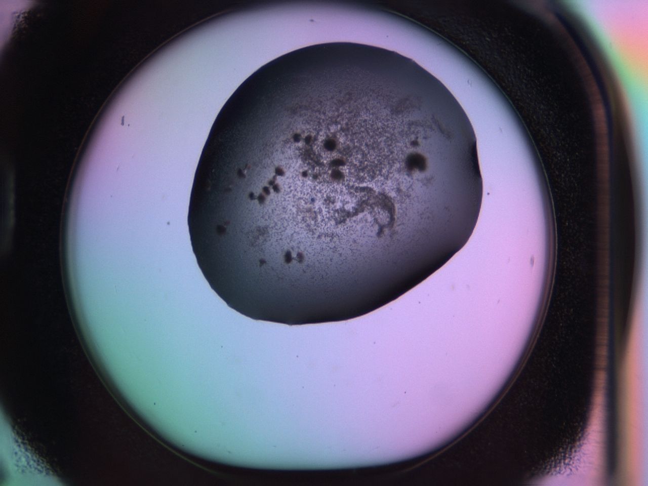 03kj_D6_ImagerDefaults_6.jpg