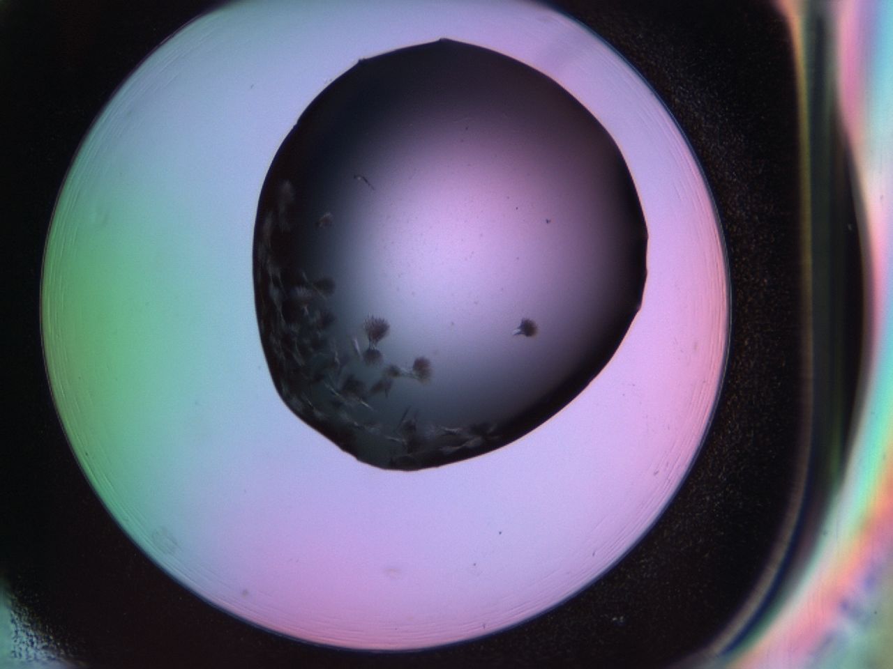 03kl_H1_ImagerDefaults_6.jpg