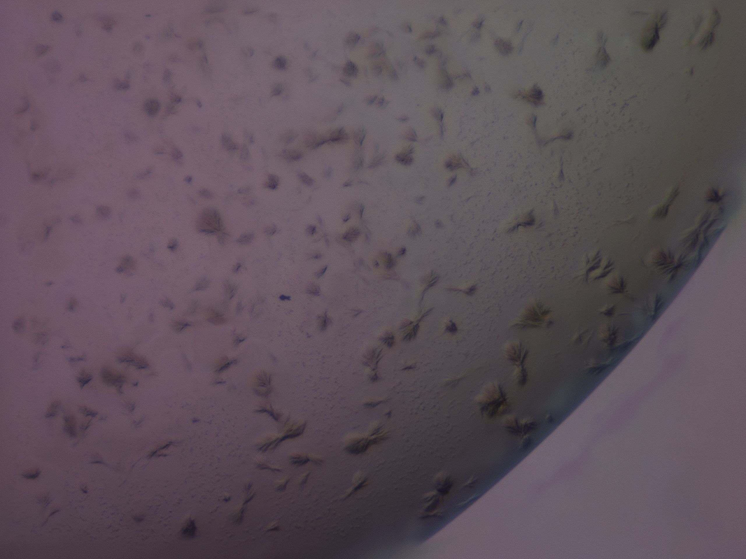 03kn_F6_HighResolution_9.jpg
