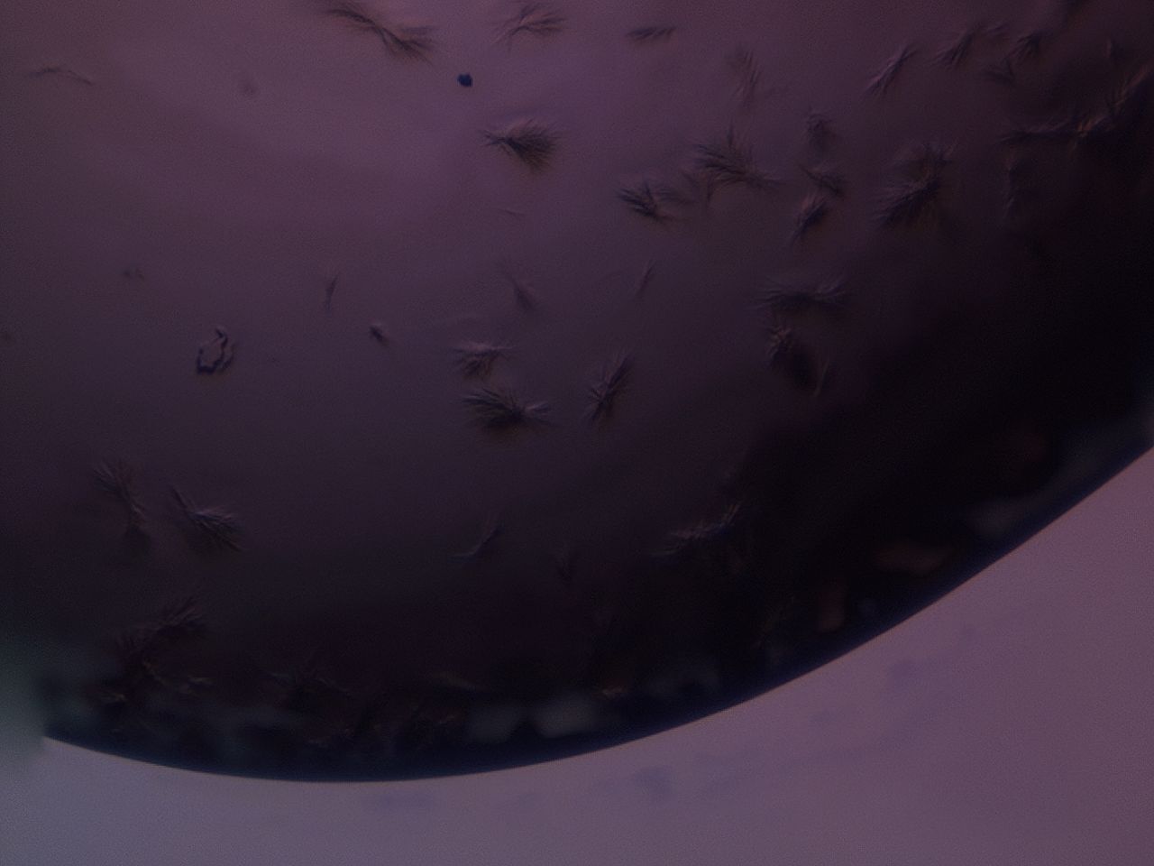 03kn_F7_HighContrast_9.jpg