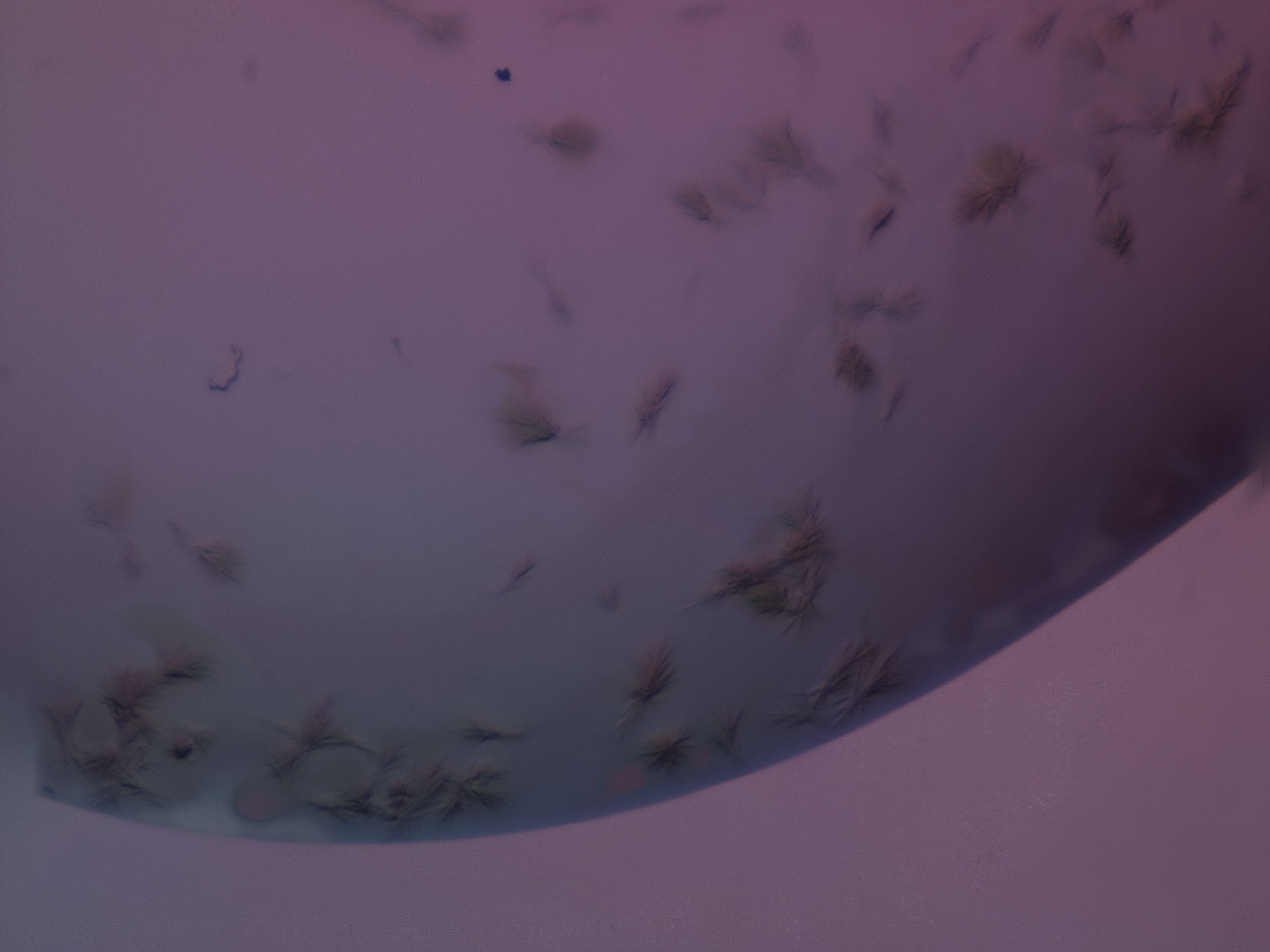 03kn_F7_HighResolution_9.jpg