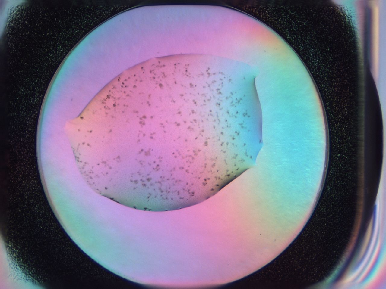 03kn_G3_ImagerDefaults_6.jpg