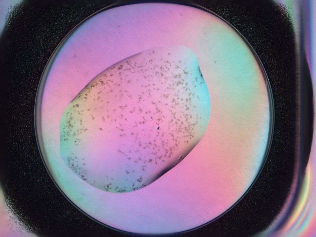 03kn_F7_ImagerDefaults_9.jpg