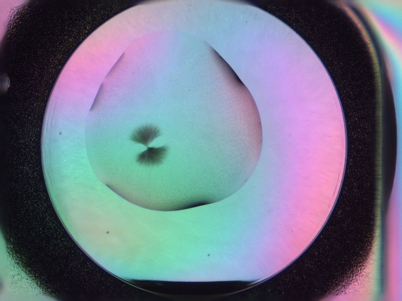 03kn_F6_ImagerDefaults_7.jpg