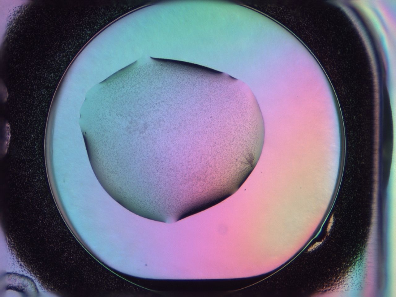 03kn_G10_ImagerDefaults_7.jpg