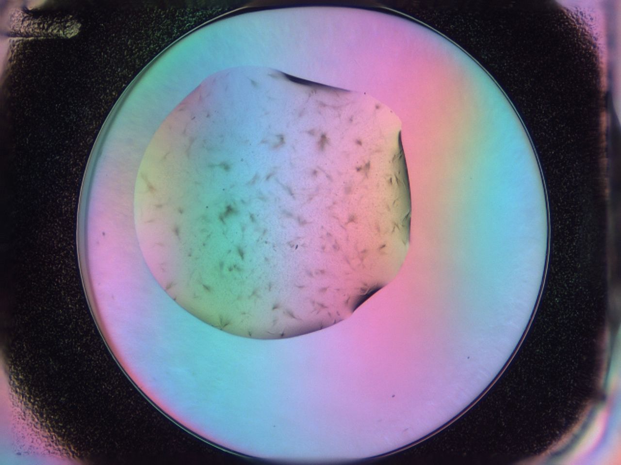 03kn_G12_ImagerDefaults_7.jpg