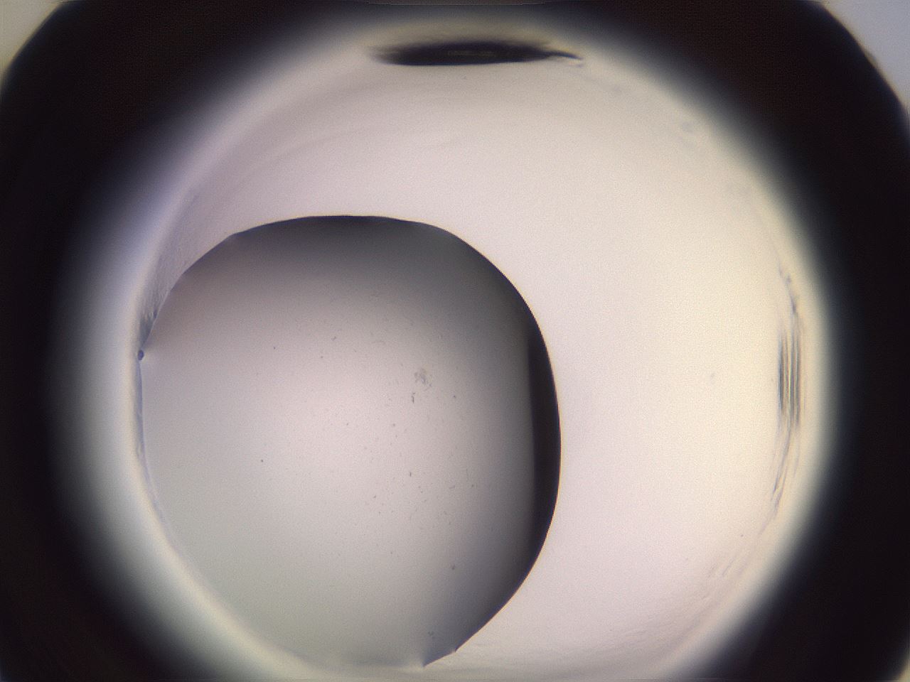folderID640_plateID2640_batchID13391_wellNum34_profileID1_d3_r214580_ef.jpg