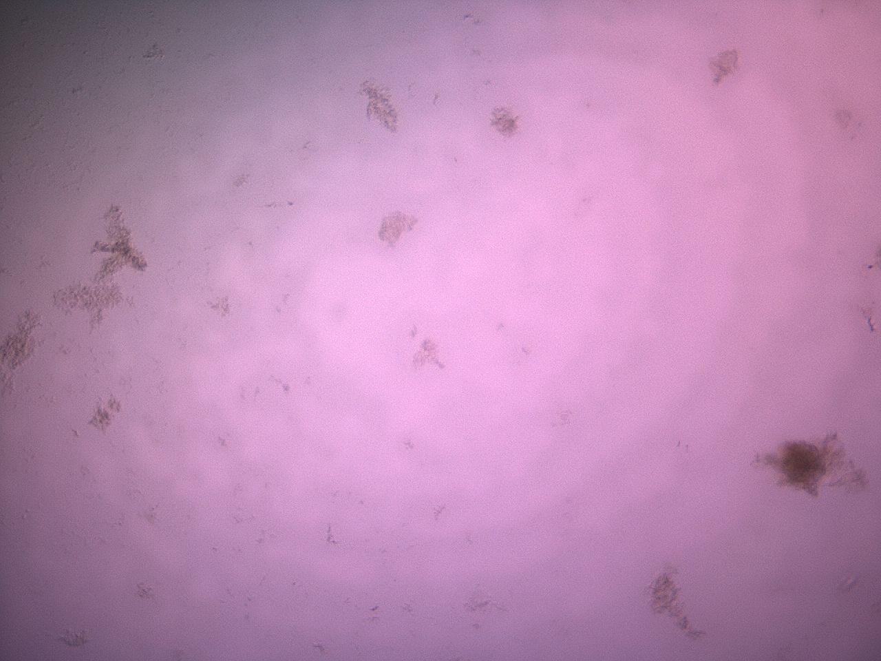 03kq_A4_ImagerDefaults_6.jpg