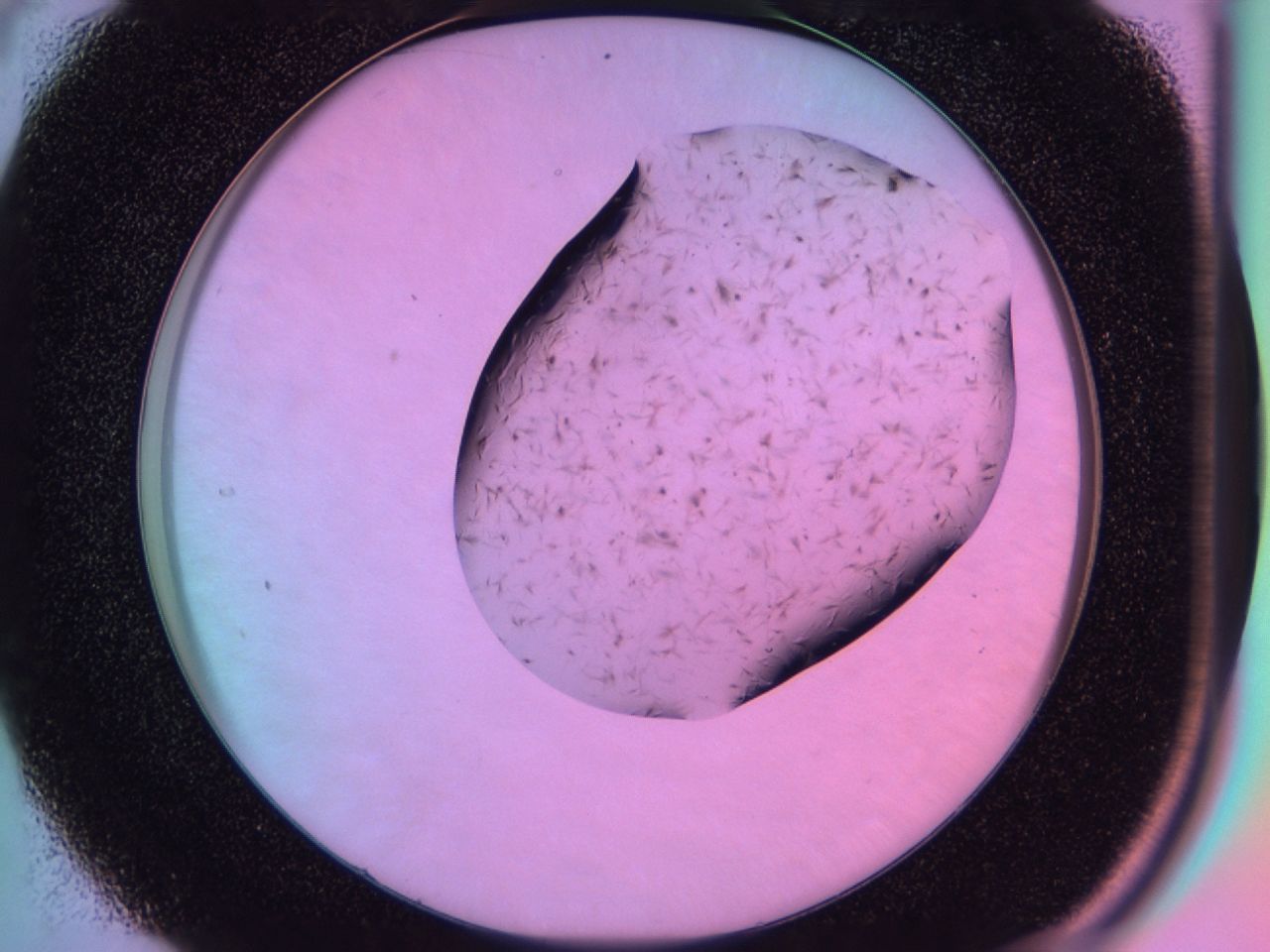 03kr_C4_ImagerDefaults_7.jpg