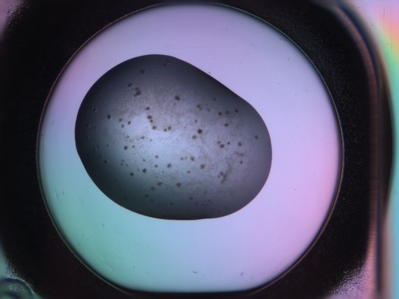 03ks_D10_ImagerDefaults_6.jpg