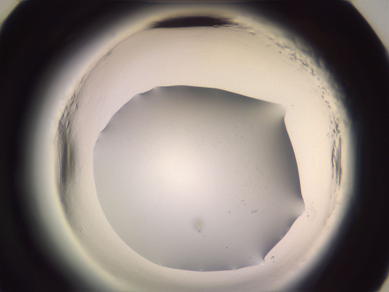 folderID640_plateID2640_batchID13391_wellNum45_profileID1_d3_r214613_ef.jpg