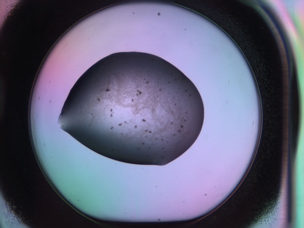 03ks_D9_ImagerDefaults_6.jpg