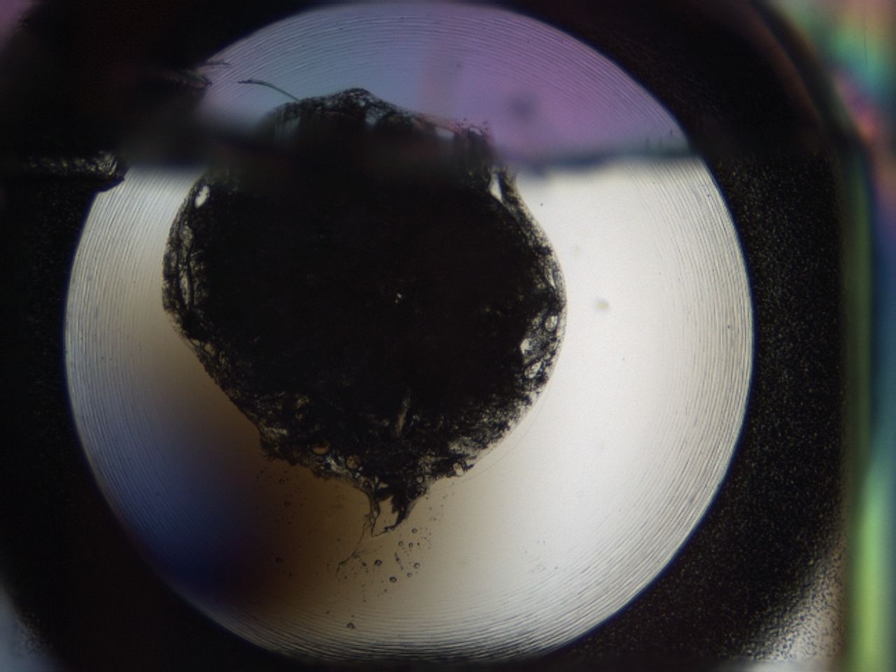 03ks_F5_ImagerDefaults_8.jpg