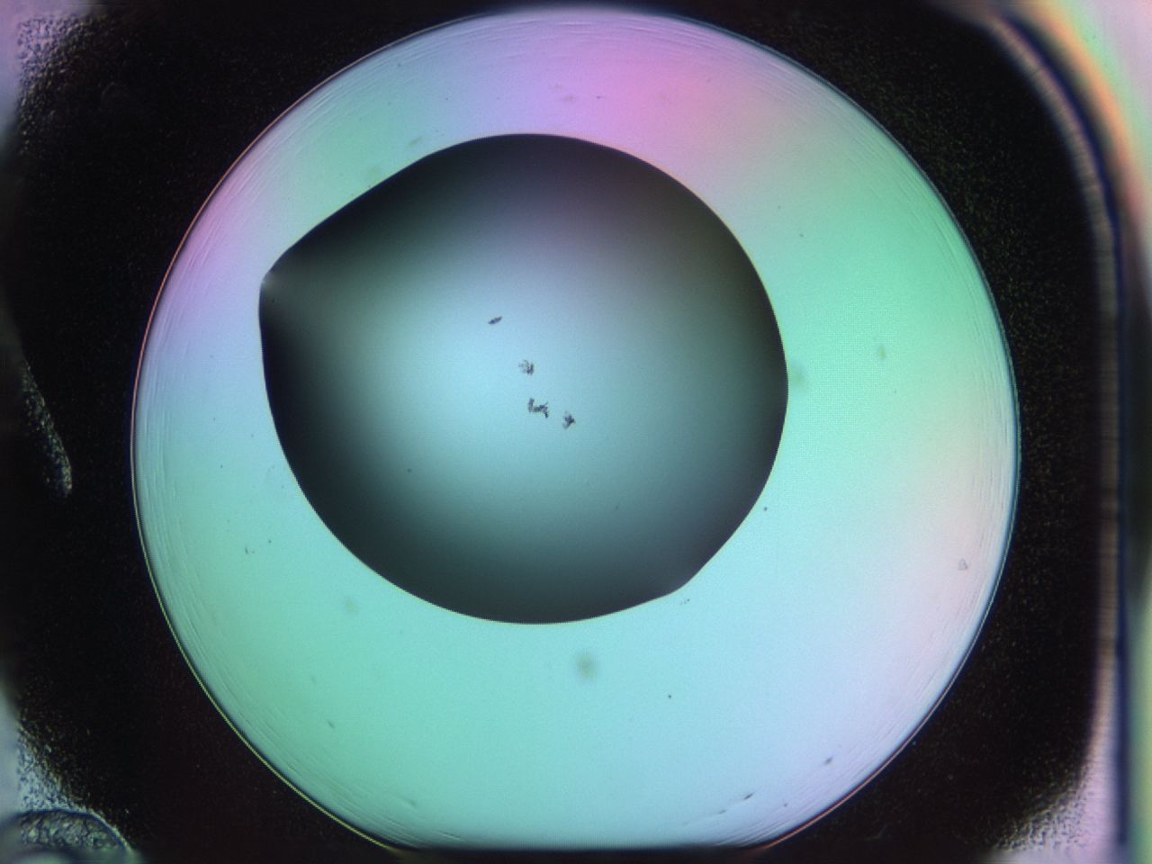 03kw_A12_ImagerDefaults_6.jpg
