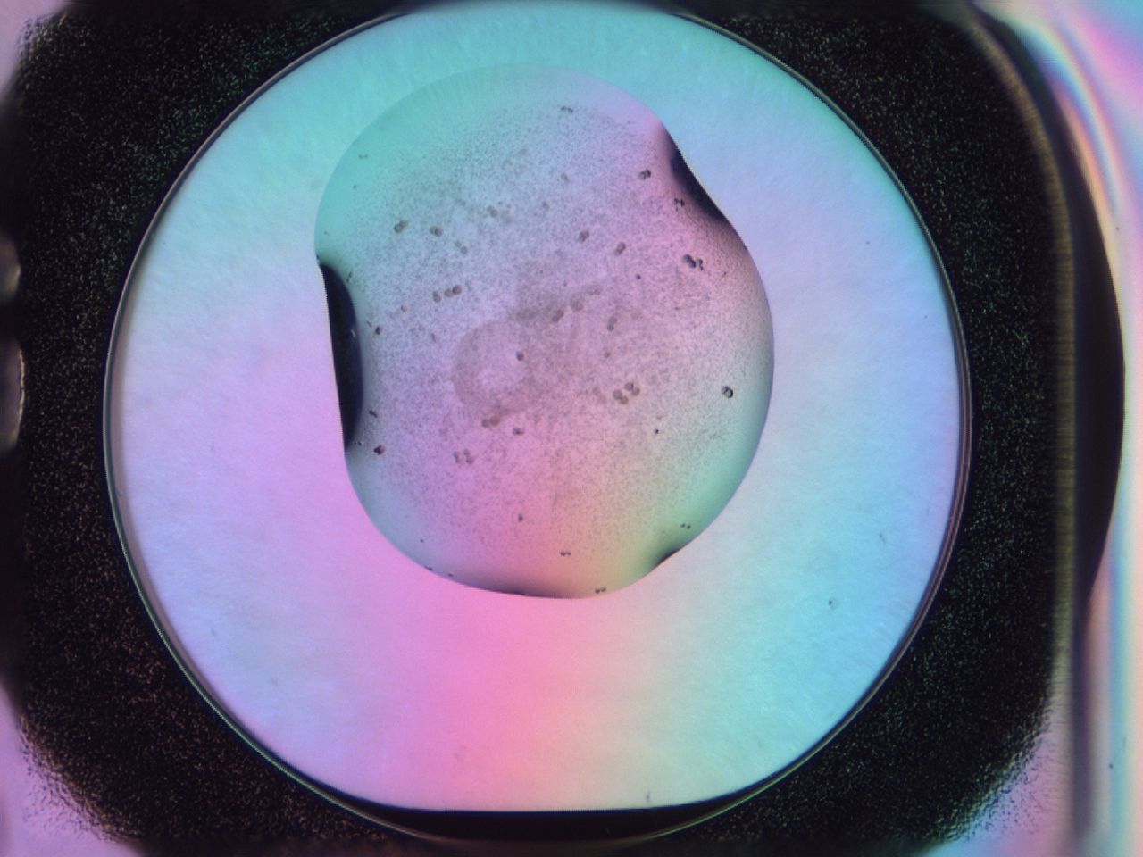 03l1_G2_ImagerDefaults_6.jpg