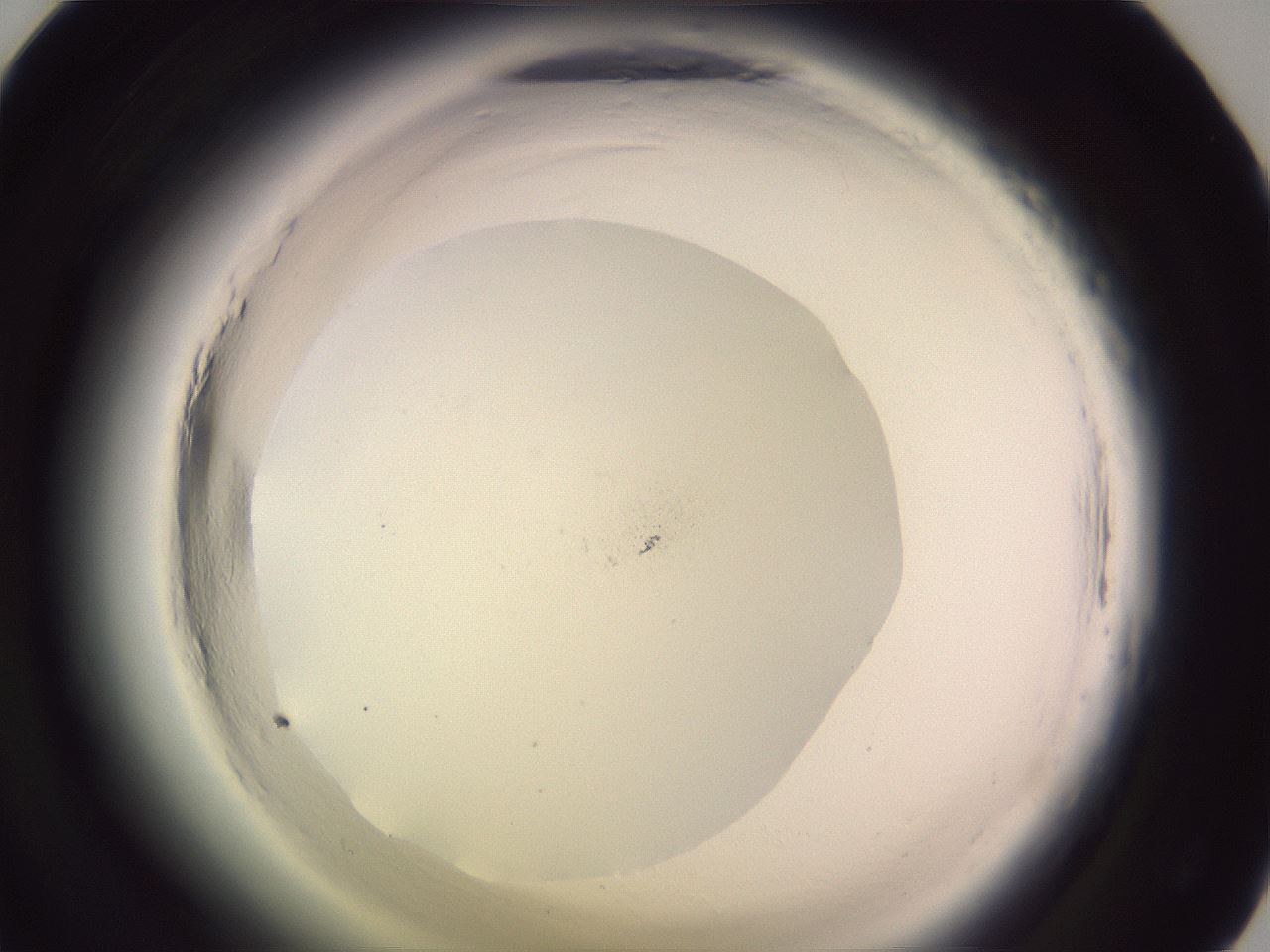 folderID640_plateID2640_batchID13518_wellNum45_profileID1_d1_r214611_ef.jpg