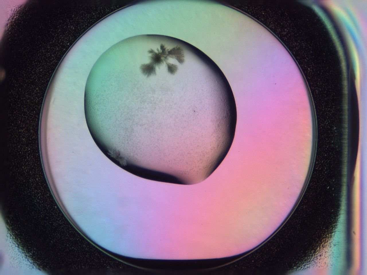 03l1_F7_ImagerDefaults_7.jpg
