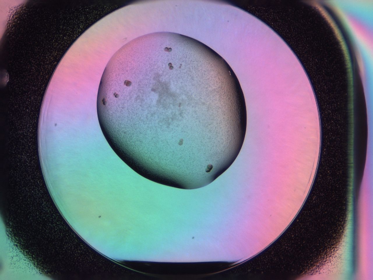 03l1_F6_ImagerDefaults_6.jpg