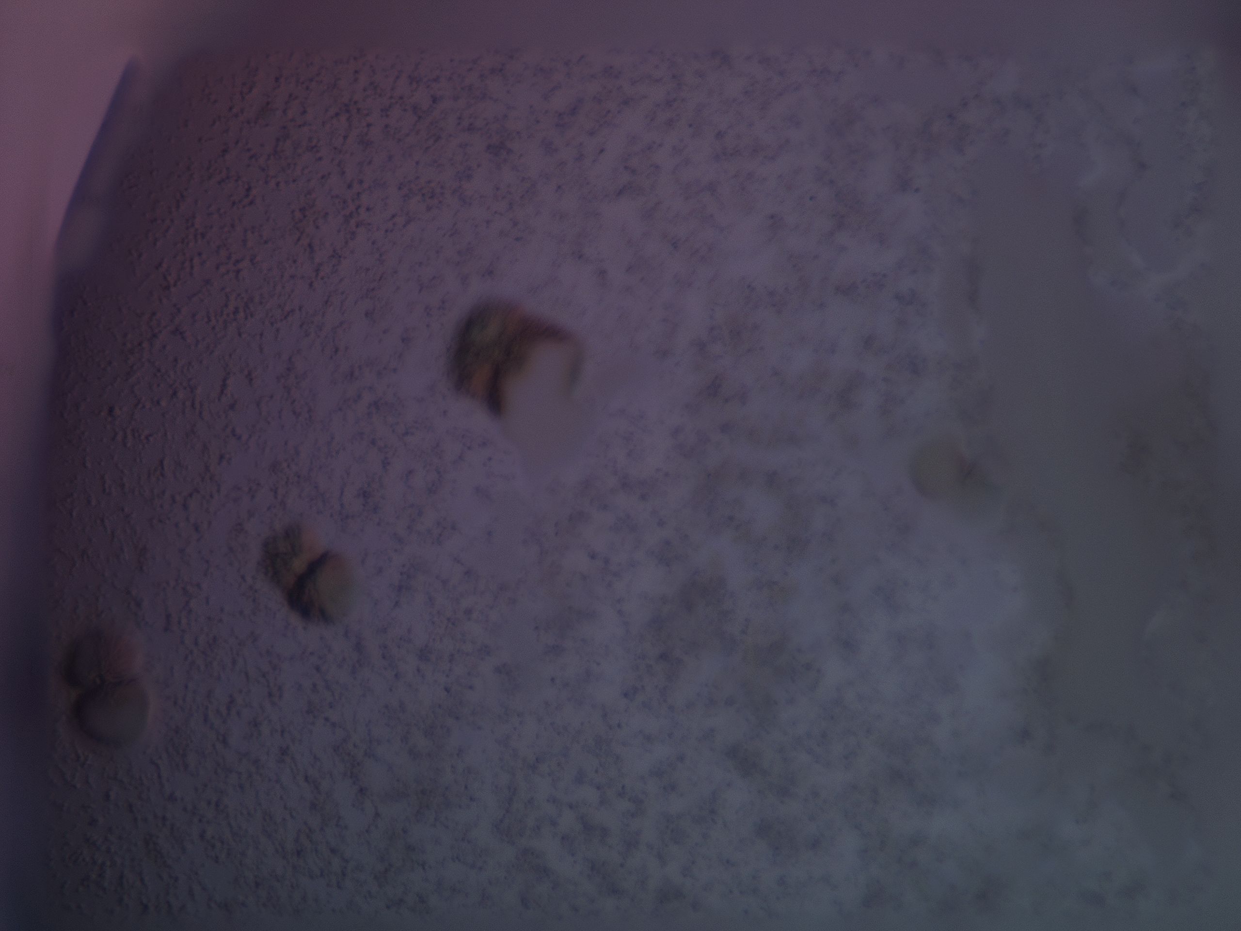 03l1_F6_HighResolution_6.jpg
