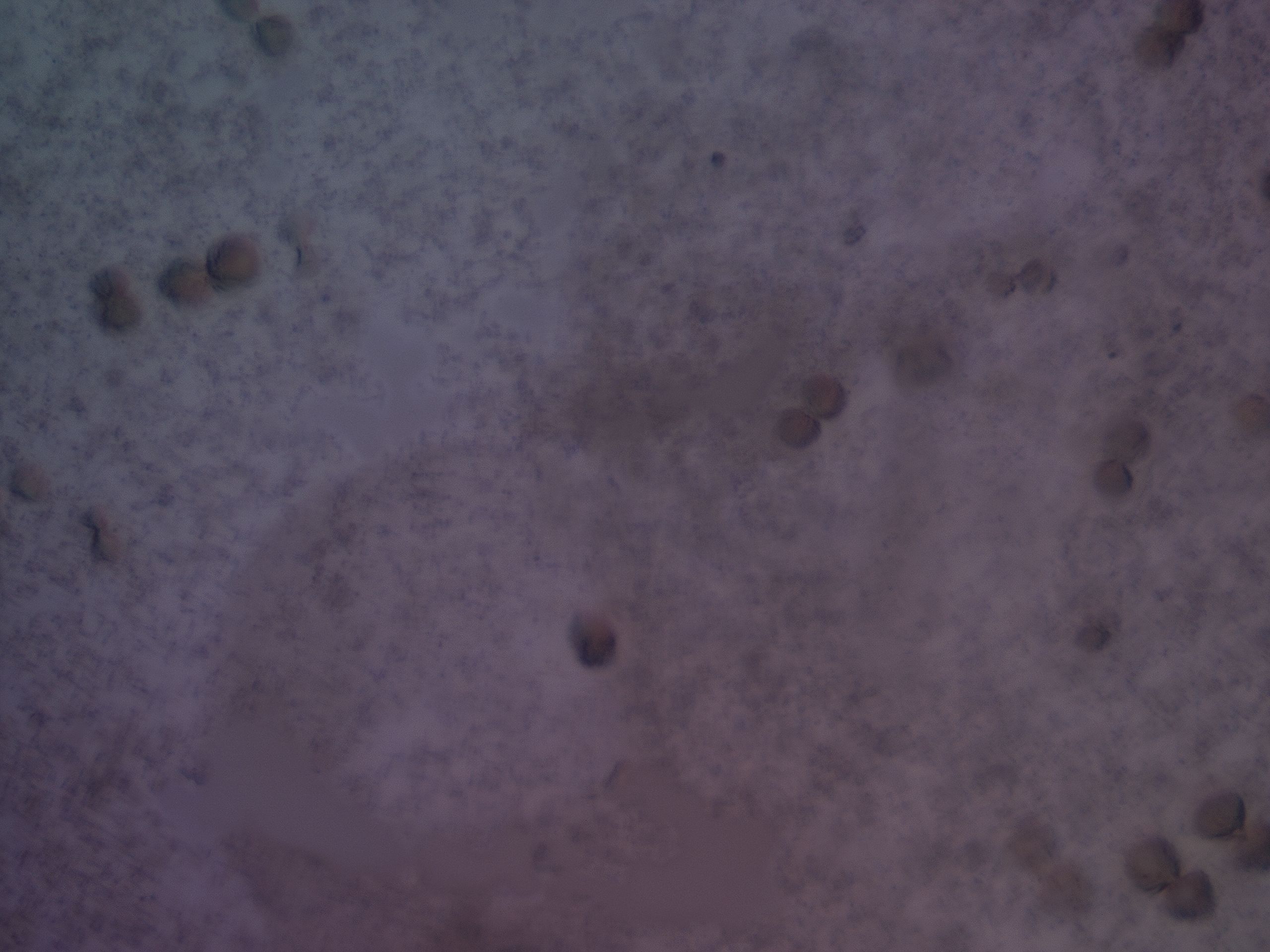 03l1_G2_HighResolution_6.jpg