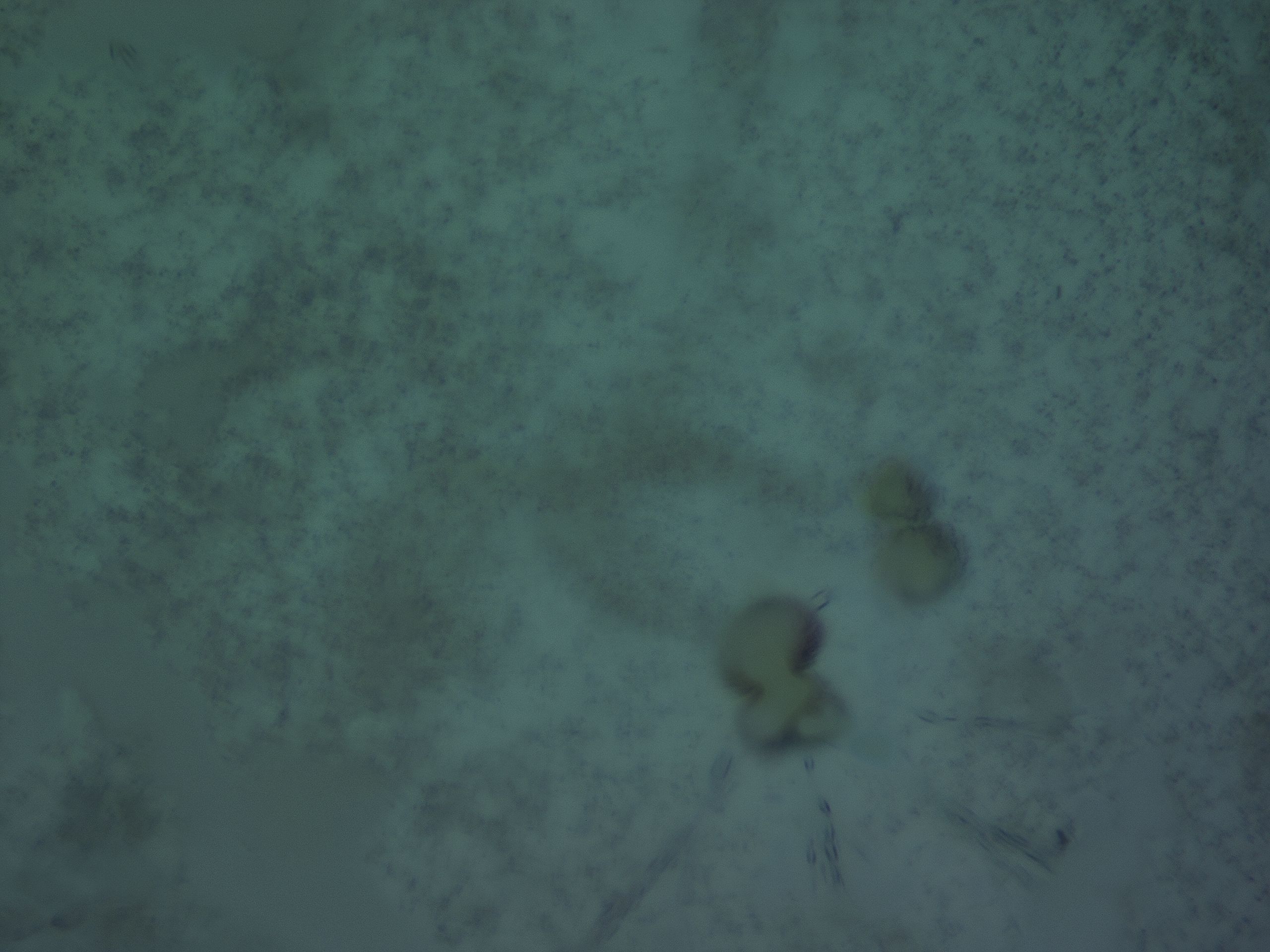 03l1_G3_HighResolution_6.jpg