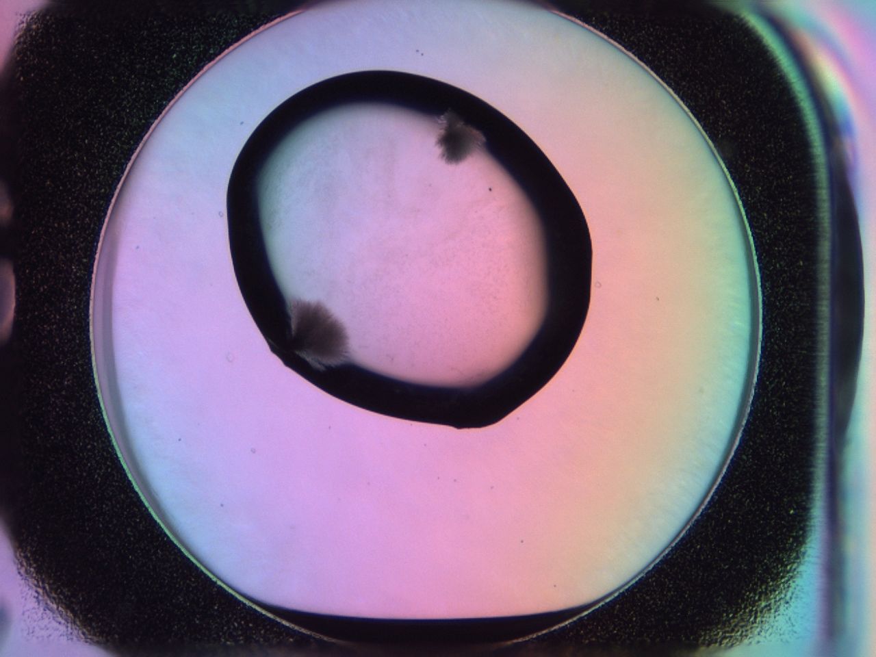 03l1_G7_ImagerDefaults_7.jpg