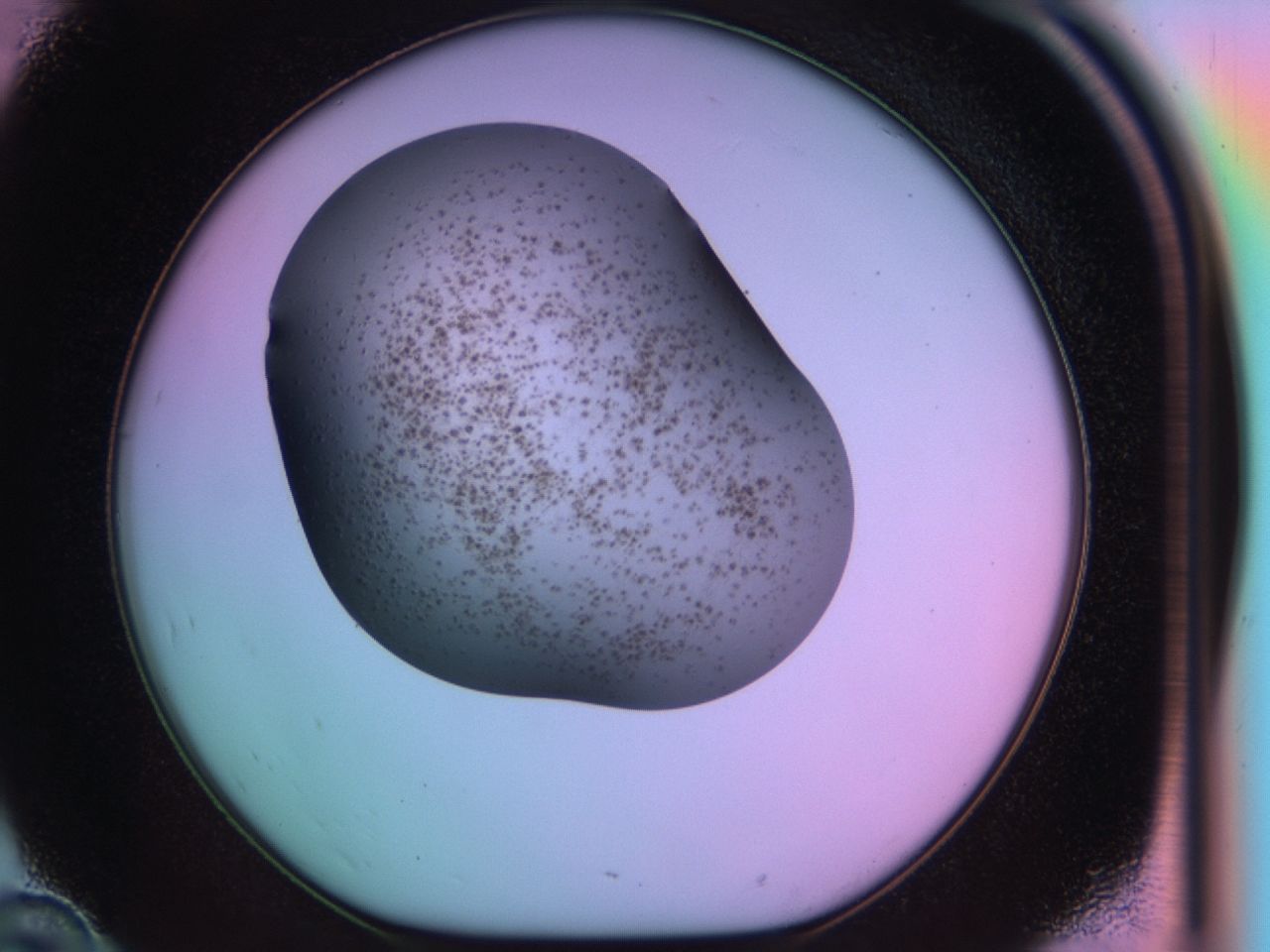 03l2_D10_ImagerDefaults_6.jpg