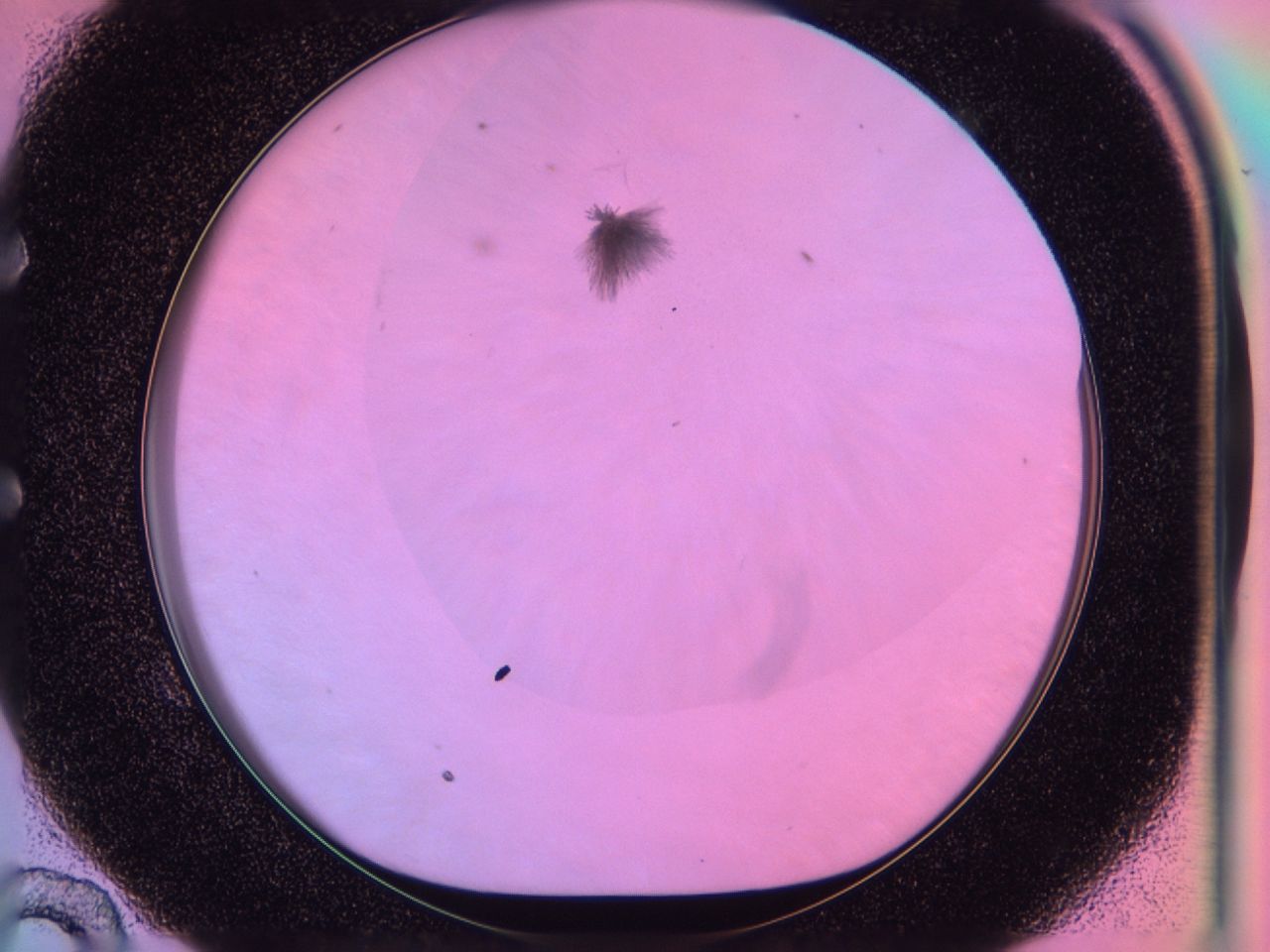 03l9_E10_ImagerDefaults_7.jpg