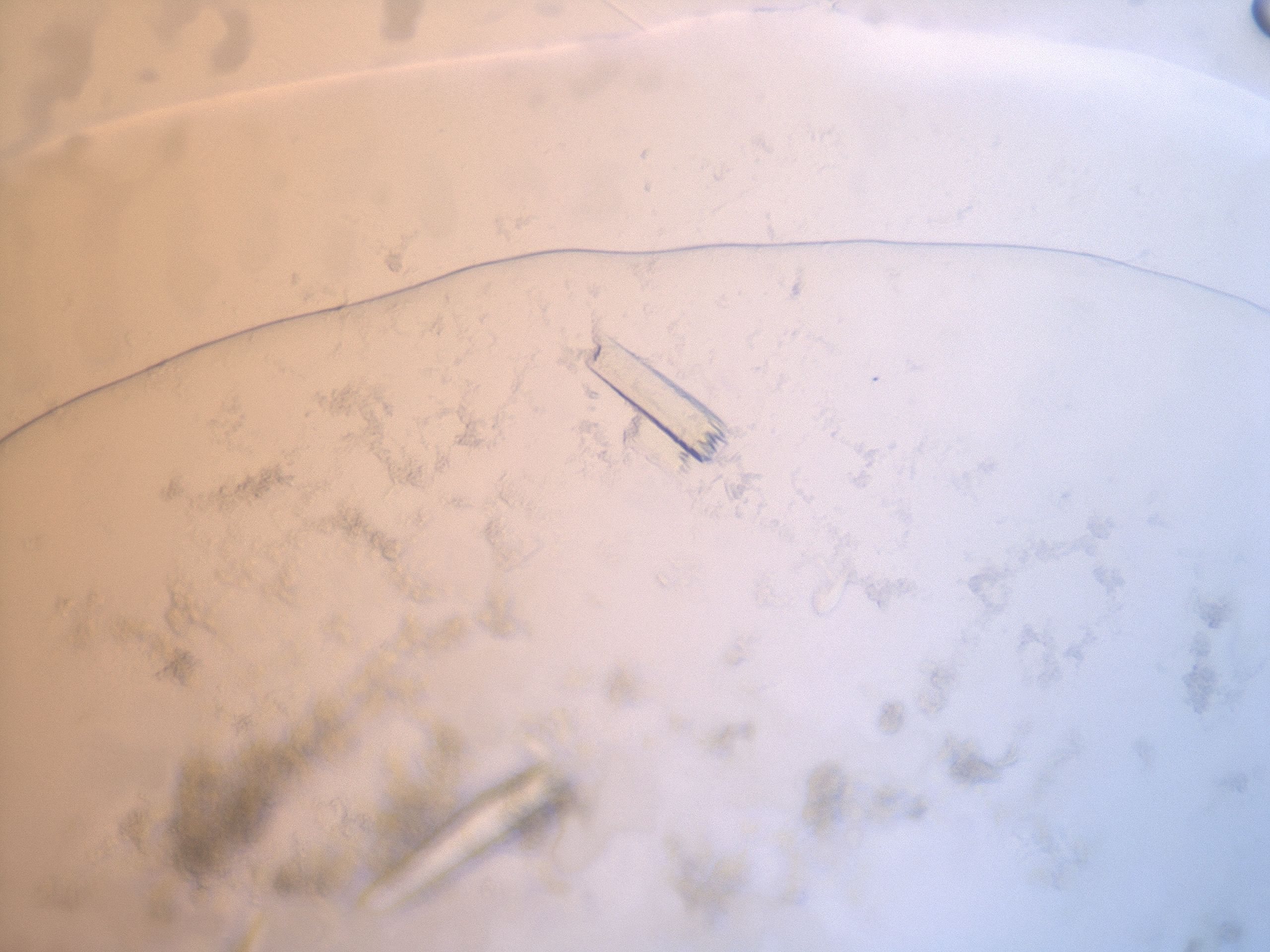 03la_G6_HighResolution_9.jpg