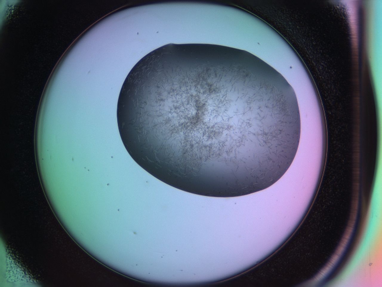 03lc_D5_ImagerDefaults_9.jpg