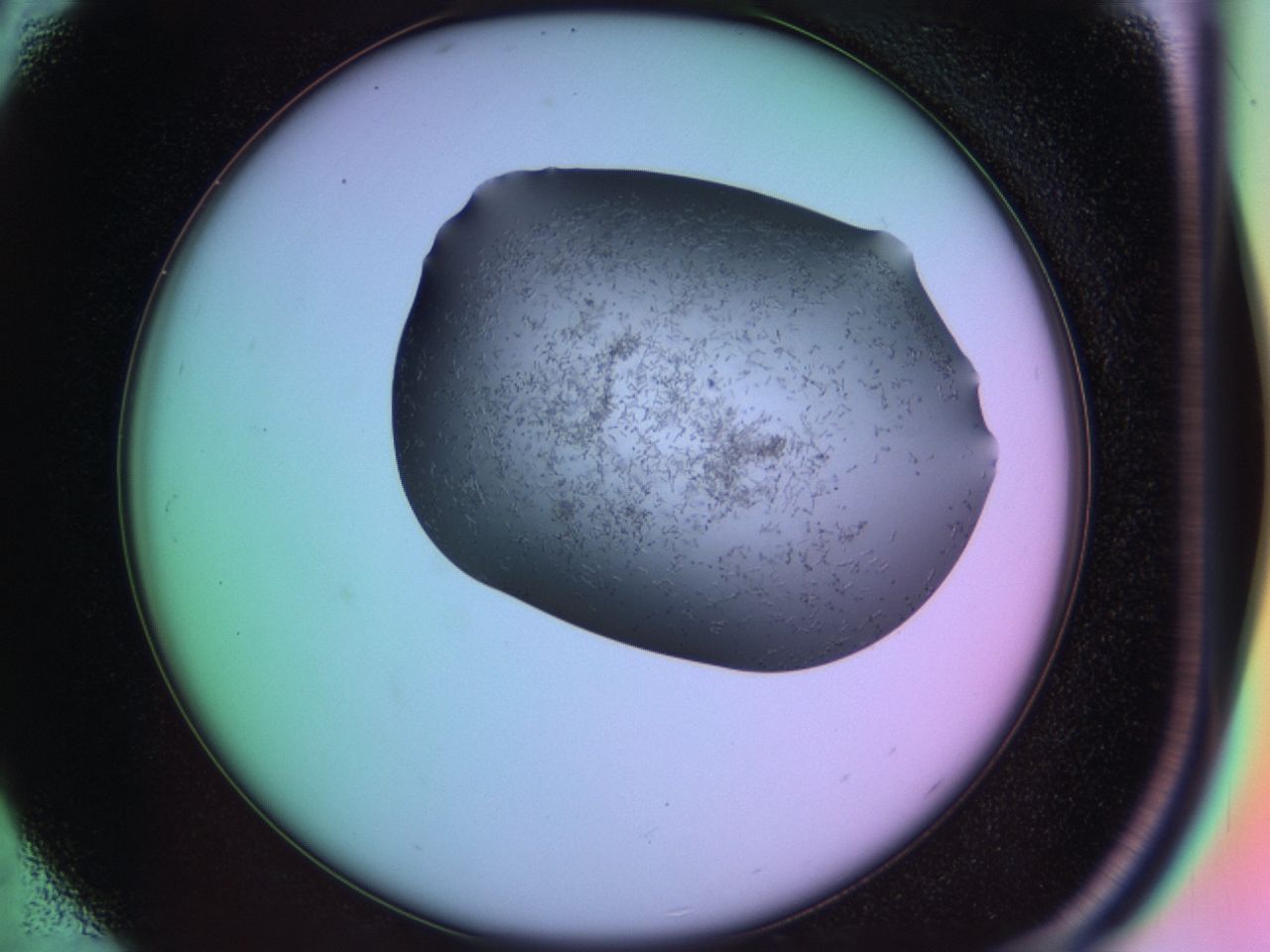 03lc_C5_ImagerDefaults_9.jpg