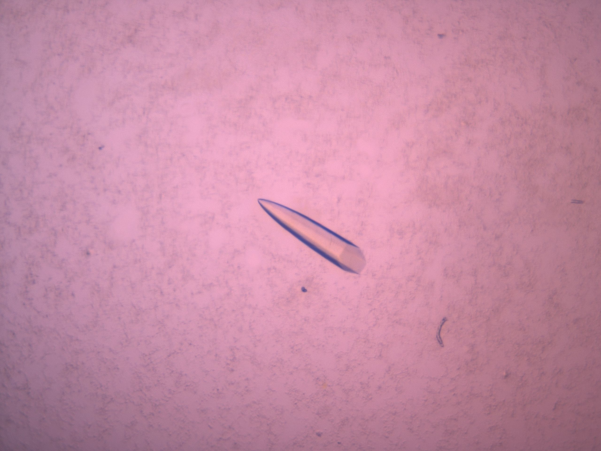 03le_D8_HighResolution_9.jpg
