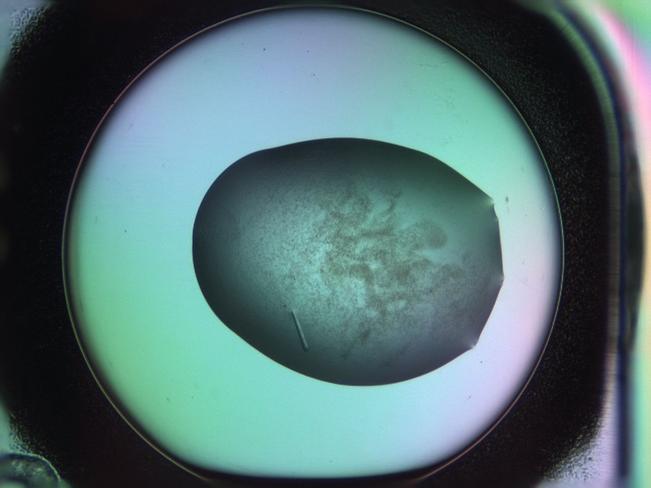 03le_C12_ImagerDefaults_9.jpg