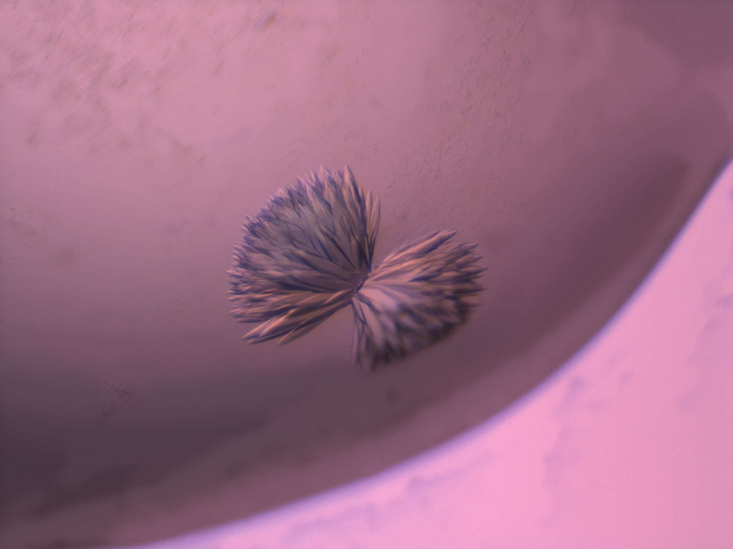 03le_D2_HighResolution_9.jpg