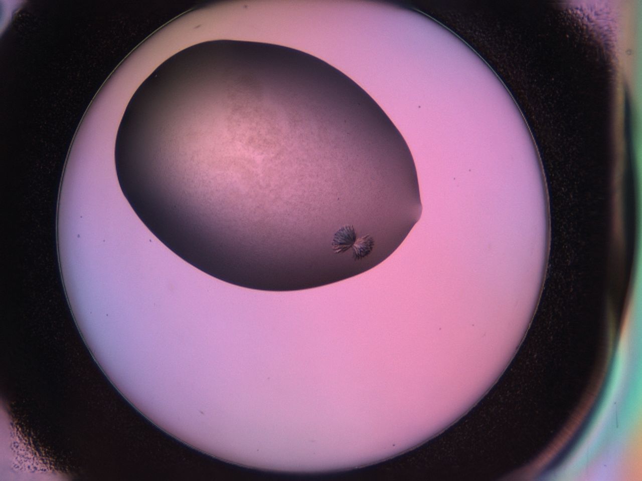 03le_D2_ImagerDefaults_9.jpg