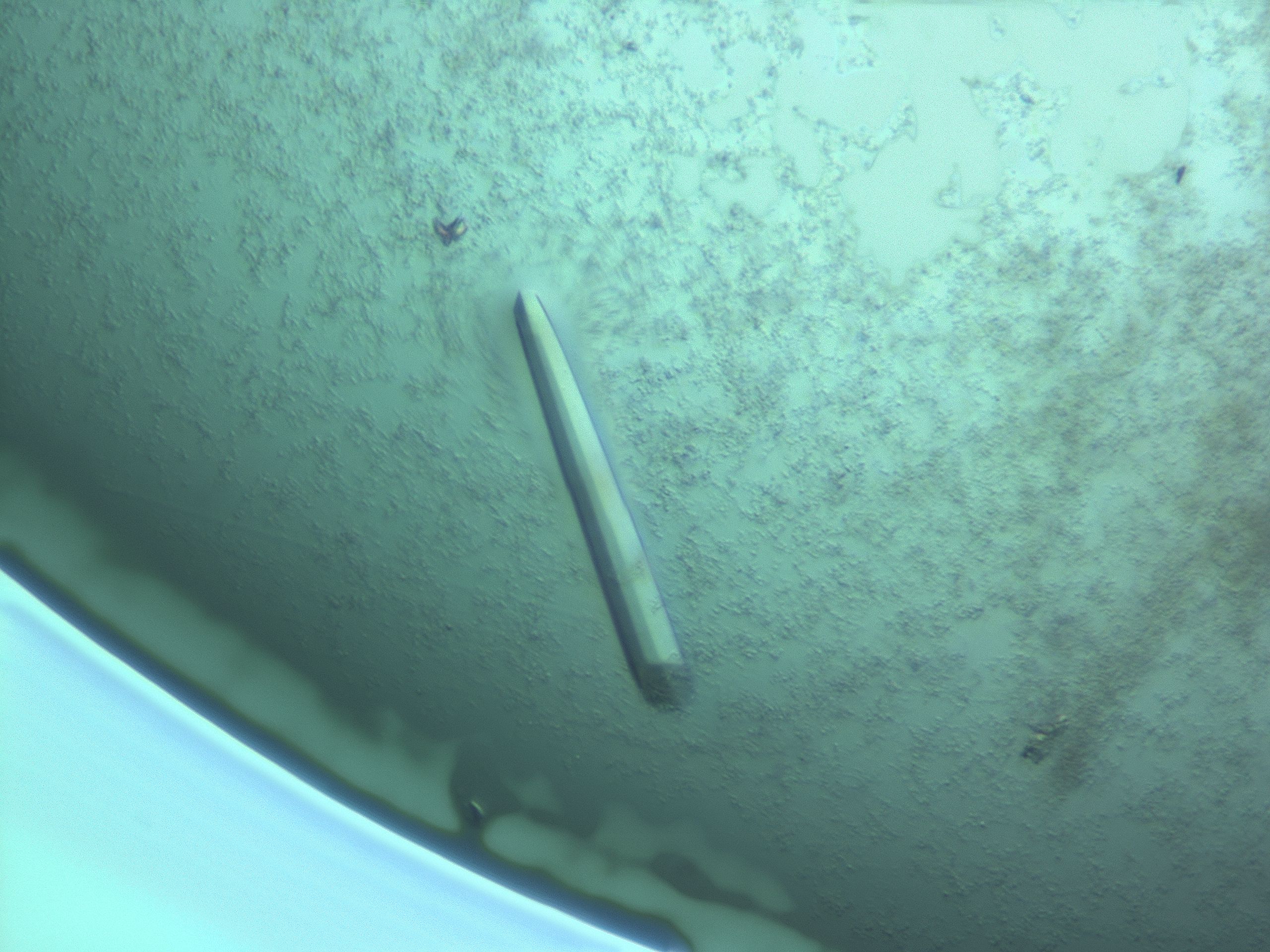 03le_C12_HighResolution_9.jpg