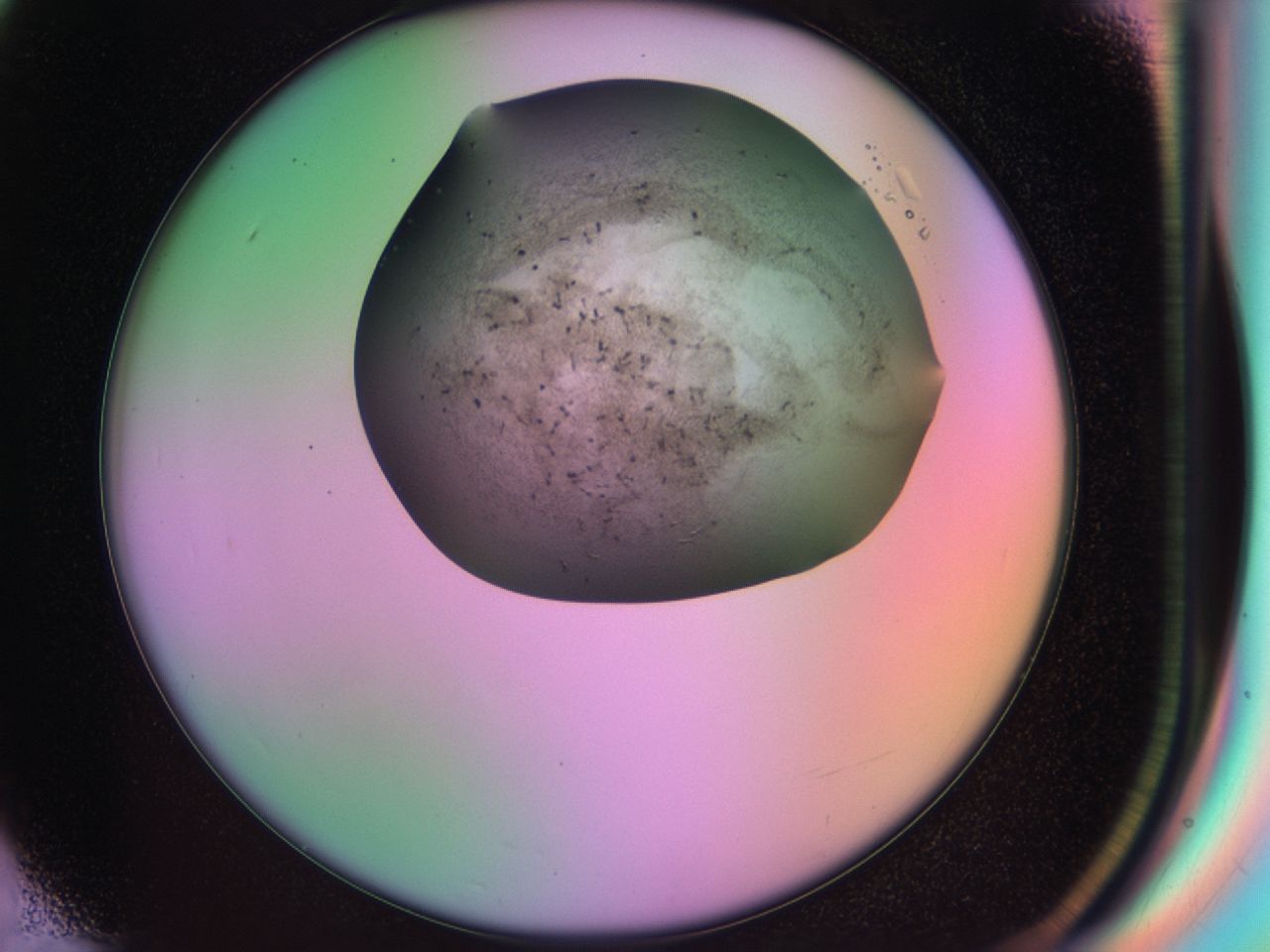 03lg_F6_ImagerDefaults_6.jpg