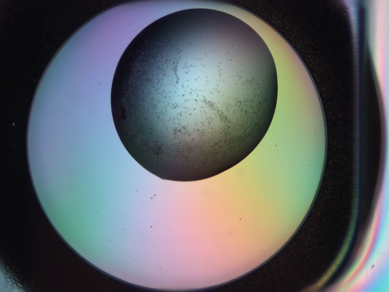 03li_G6_ImagerDefaults_9.jpg