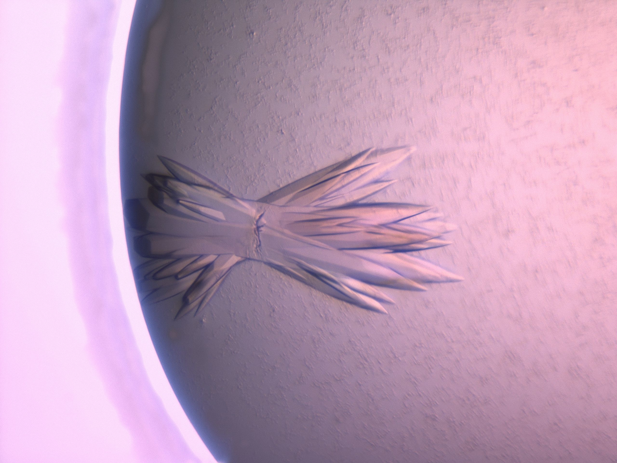03li_E7_HighResolution_9.jpg