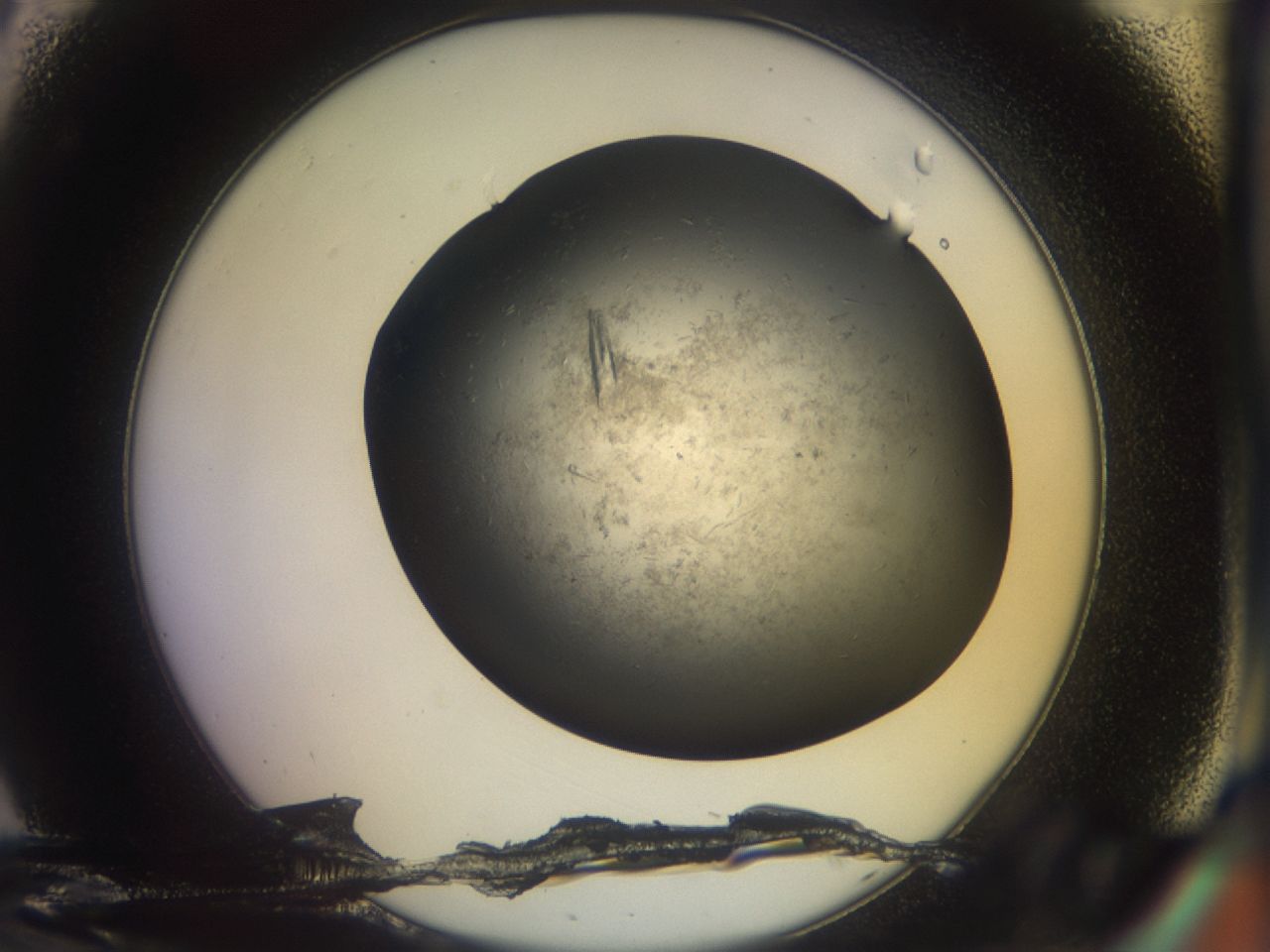 03lk_C8_ImagerDefaults_8.jpg