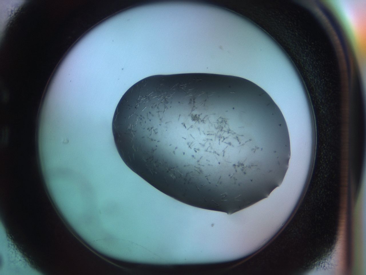 03lk_C5_ImagerDefaults_9.jpg
