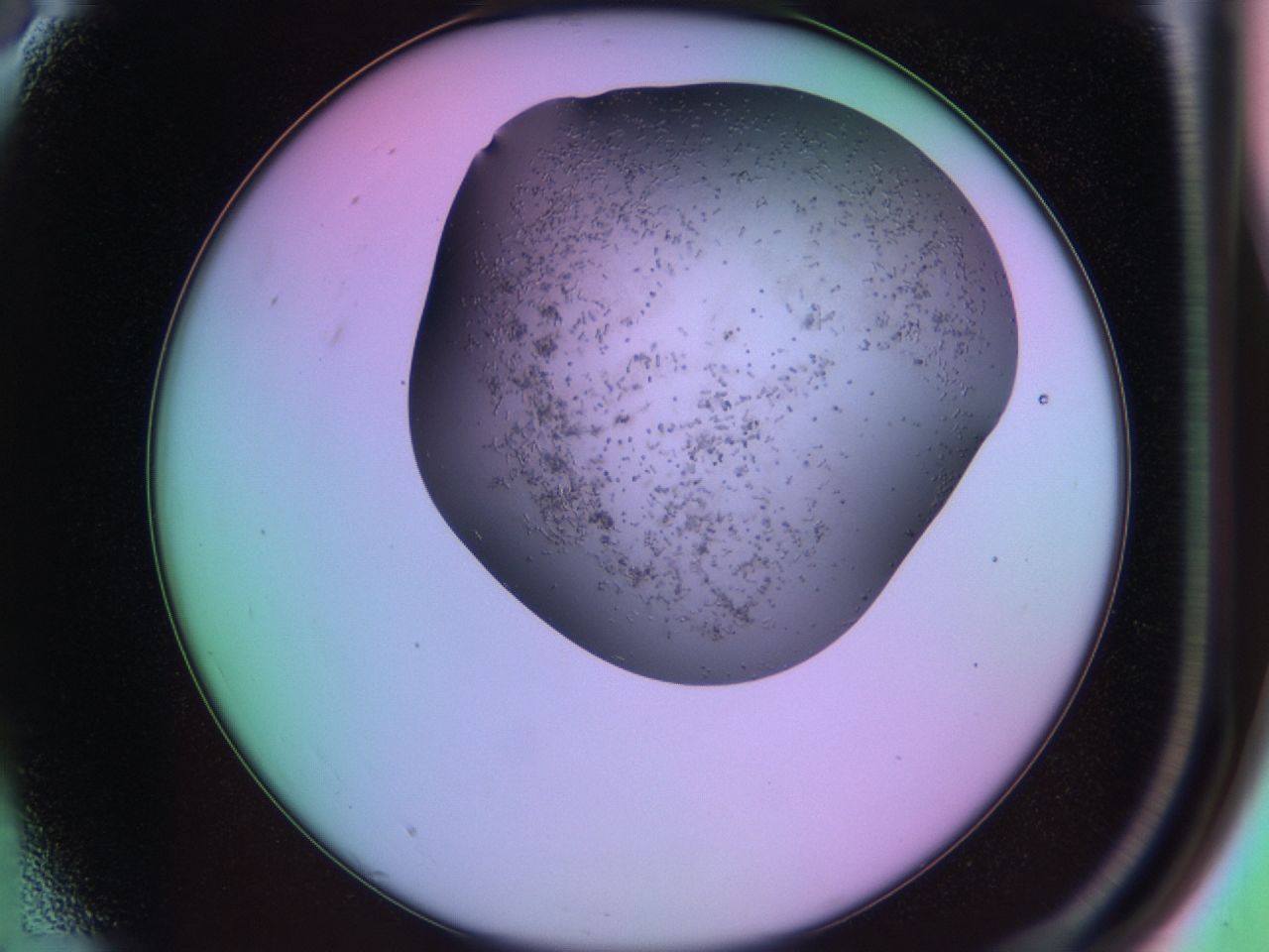 03lm_A3_ImagerDefaults_6.jpg