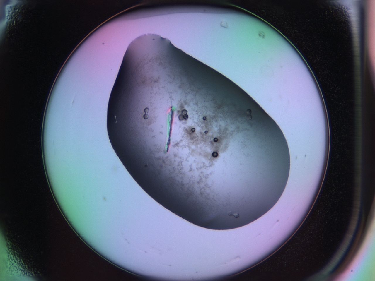 03lm_A4_ImagerDefaults_6.jpg