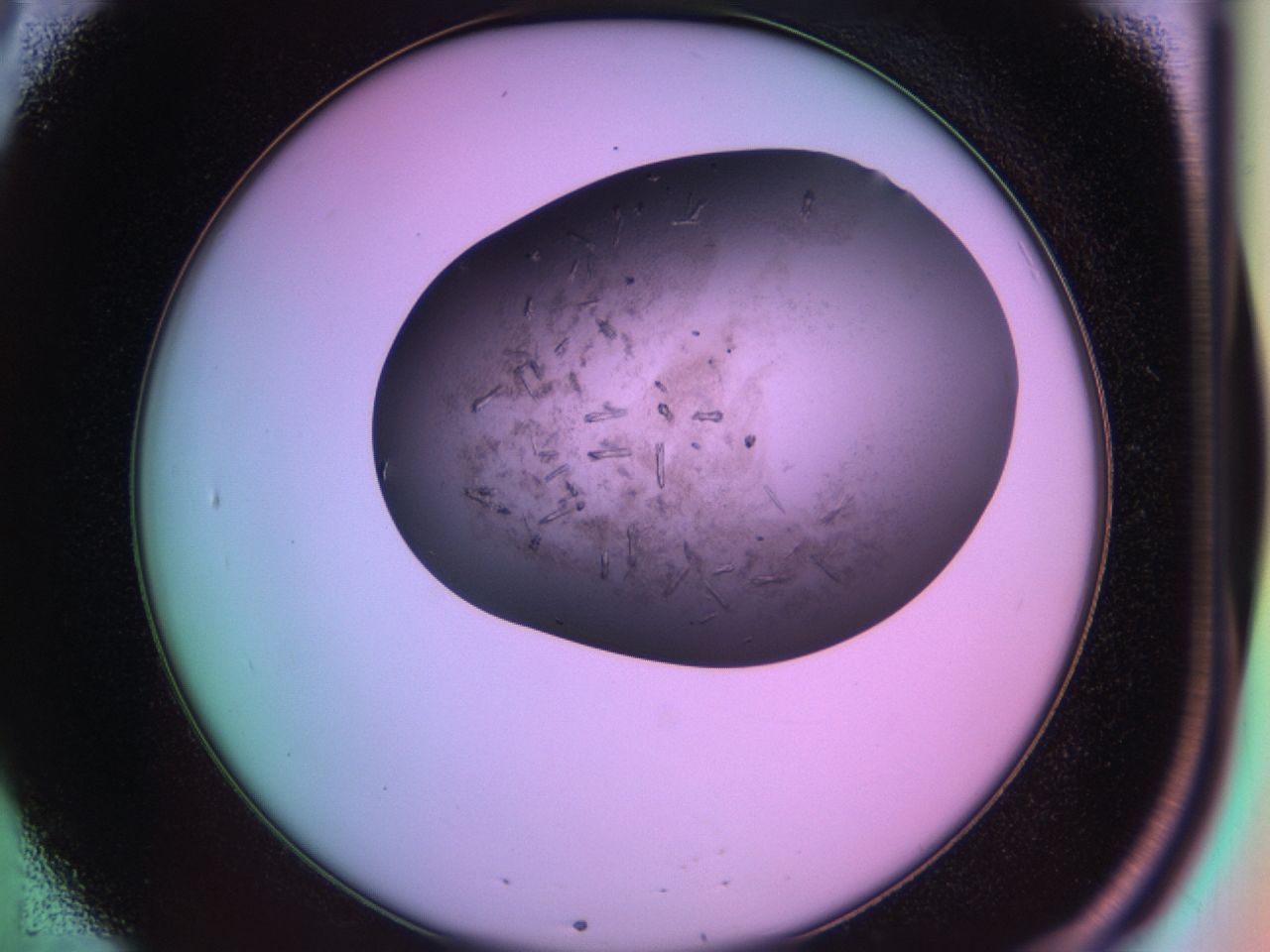 03lm_B8_ImagerDefaults_7.jpg