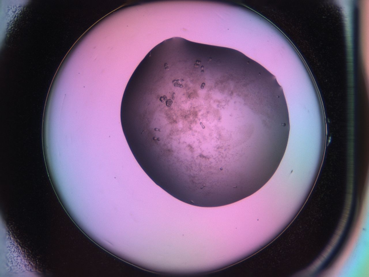 03lm_A1_ImagerDefaults_6.jpg