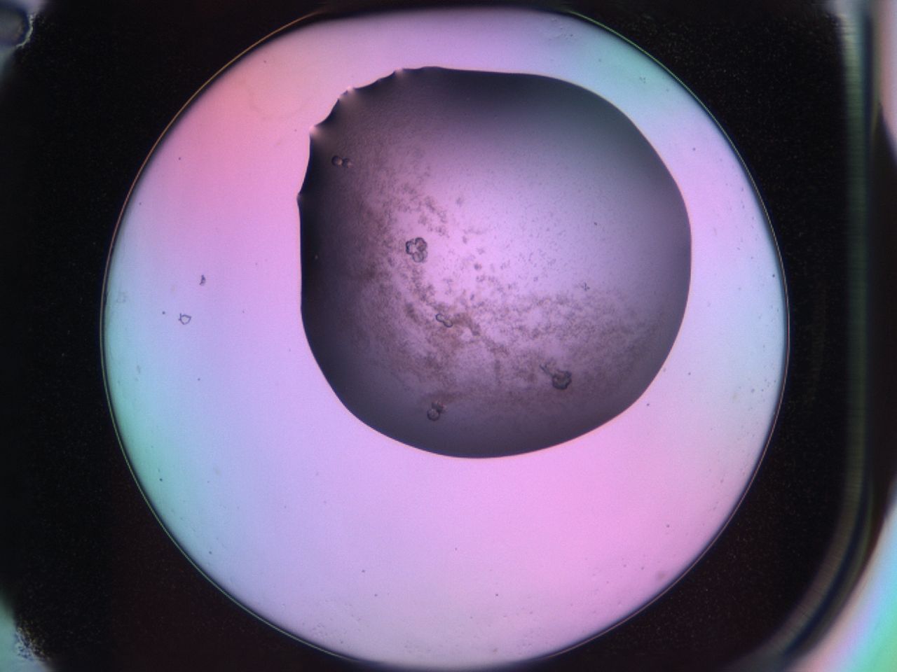 03lm_A2_ImagerDefaults_6.jpg